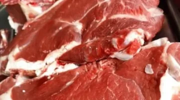 بفارق 420 جنيها.. أسعار اللحوم بأسواق مطروح تشهد تحركات جديدة للضأن والشمبري